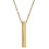 COLLAR CHAPADO