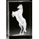 LLAVERO CRISTAL 3D-LUZ