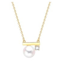 COLLAR CHAPADO