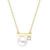 COLLAR CHAPADO