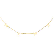 COLLAR CHAPADO