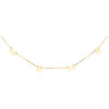 COLLAR CHAPADO