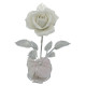 ROSA METAL