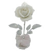 ROSA METAL