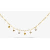 COLLAR CHAPADO