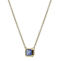 COLLAR CHAPADO