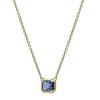 COLLAR CHAPADO