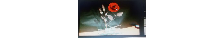 FLOR
